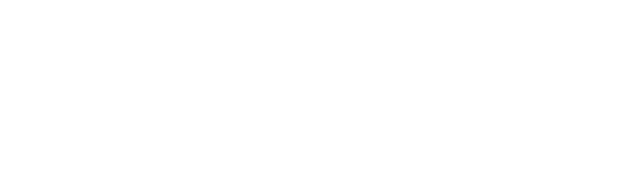 ilanzo logo (white)